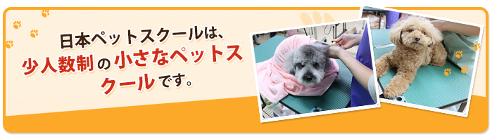 日本ペットスクールは、少人数制の小さなペットスクールです。